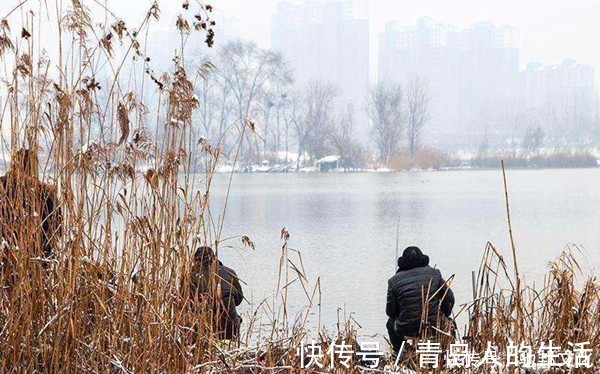 寒潮|钓鱼人“喜迎”寒潮降温天,遇上降温天,鲫鱼应该这样钓!