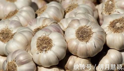 血脂异常|血脂高了别发愁,常吃这6种食物,可以疏通血管,远离“血栓”