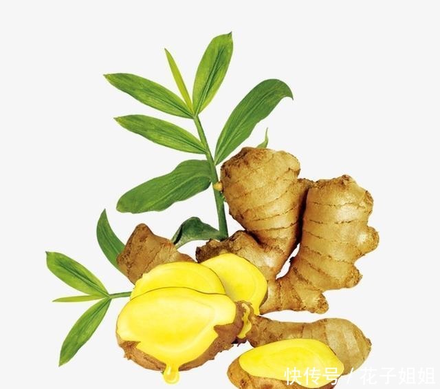 香菜|葱姜蒜,辣椒香菜,能否惹人爱