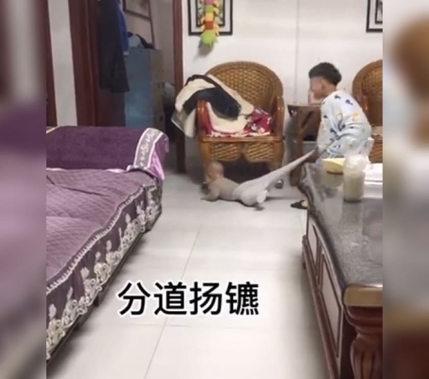 关注度|妈妈生二胎,本以为哥俩会情同手足,谁曾想只是给哥哥生了个玩具