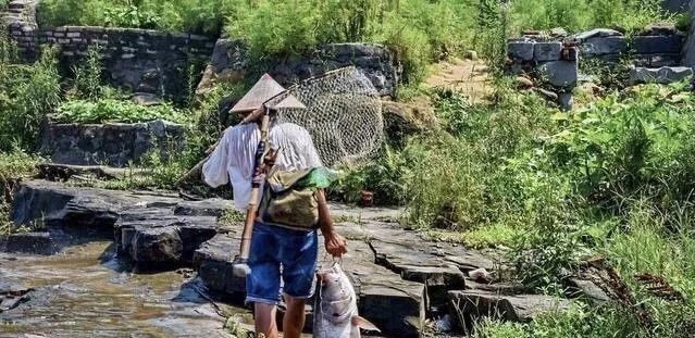 鲫鲤|钓鱼就用3元的花露水做饵料!省钱又高效 别不信用29年从不空军