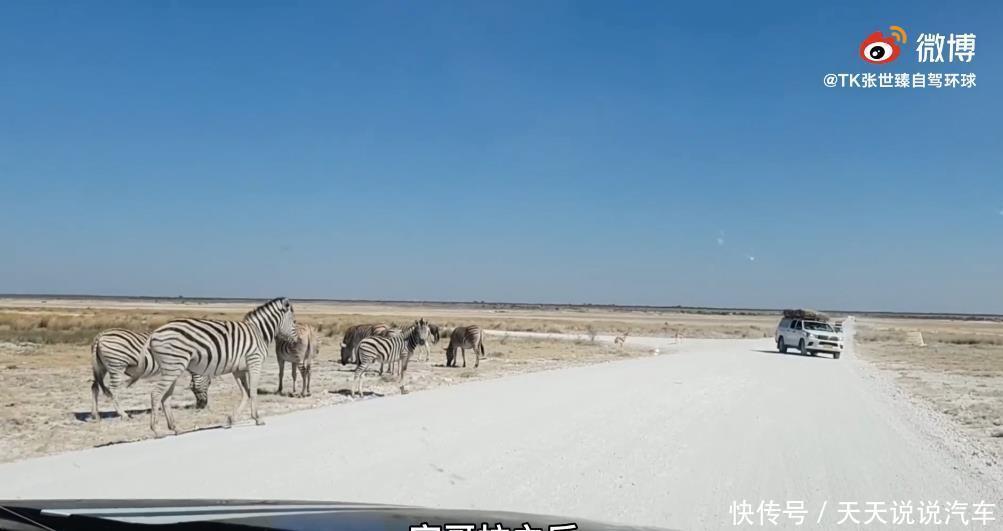 24岁中国小伙自驾环游83国，穿越11万公里，这次轮到老外羡慕了！