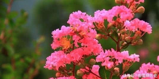 孟郊|柳永这首词与孟郊《登科后》有异曲同工之妙,描写进士及第的得意