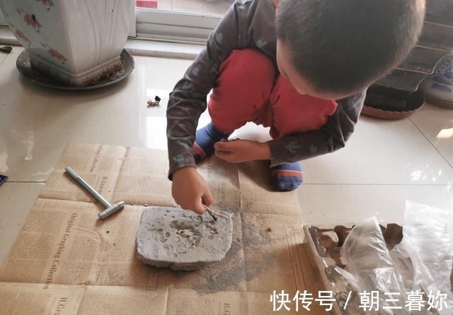 阅读|与孩子一起阅读这本书，学伟人的科学思维，让小小科学家茁壮成长