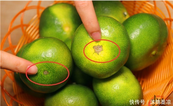 橘子|买橘子就挑“母”的,果农学会1个技巧,包你香甜又多汁的橘子