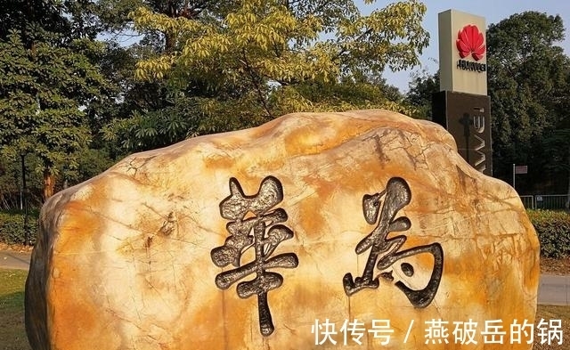 奋斗者|7000老员工请辞，任正非掏出十个亿，仅辞退16人