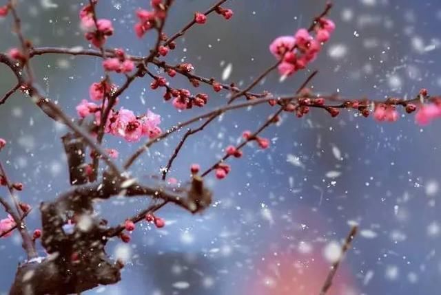 工整#五绝41首十里波将暗,一竿纶未收。老荷斜飐雨,摇落半城秋