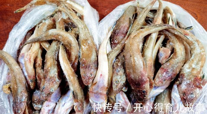 海鱼|冬季碰到此鱼,我准买20斤,营养极高,肉厚刺少味道鲜,别不懂吃