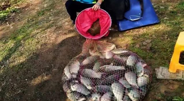钓鱼打窝时,注意这3点,熟记5须知,钓好鱼不难