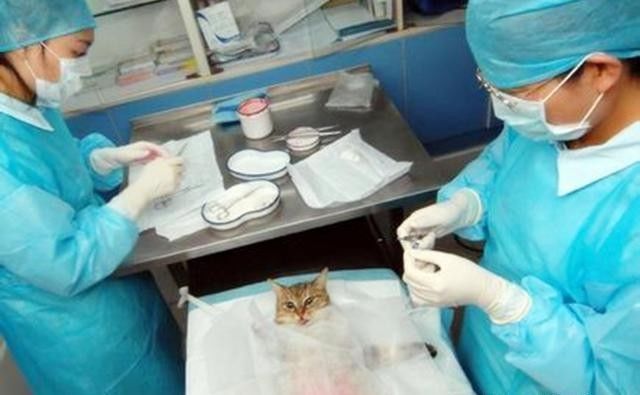 梅梅|生完娃以后哪种避孕方法最好第2种最好,但很多夫妻不愿尝试