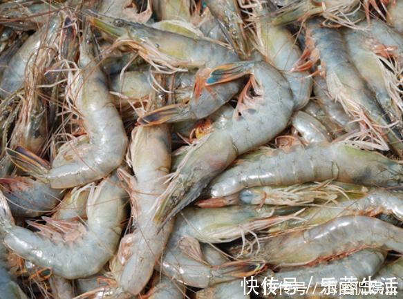 鲍鱼|吃海鲜也要讲究“时令”，老渔民不会告诉你的海鲜日历，请收好