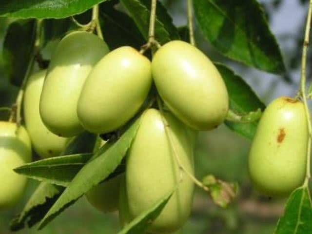 孩子|孩子最该少碰的4种水果，特别是最后三种，大人也要管住嘴