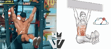 动作|练下腹肌最有效的动作,5级悬垂举腿,你能做到哪一级?