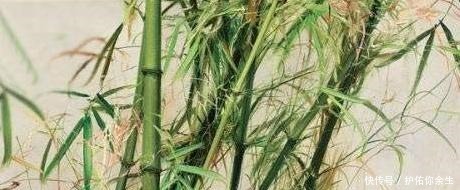冷军用油画画竹子,我是第一人,中国人没画过,西方人不会画!
