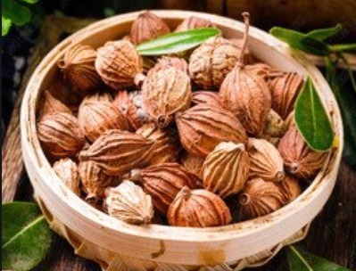 方子|张仲景唯一补肾的方子!无论阴虚、阳虚,还是阴阳两虚,都能调理