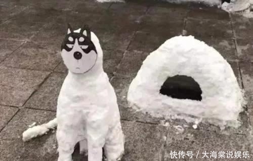 位置|向往4:即将收官,黄磊意外说漏嘴,提前告知了下一季蘑菇屋位置