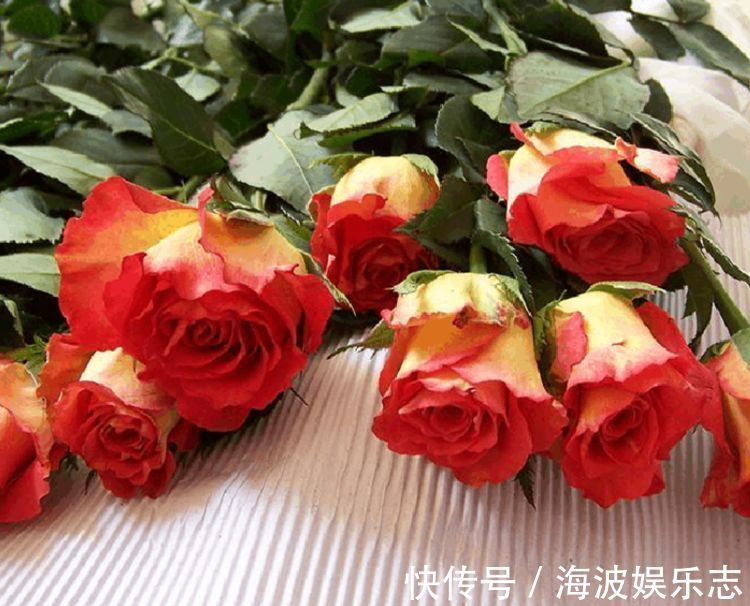 “高档玫瑰”彩纸口红，花开如唇彩，灵动美艳，可以说是精品
