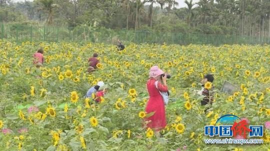 海南侨乡琼海春节假期受游客青睐 旅游总收入2.78亿元