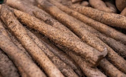 金针菇|明日处暑,这5种蔬菜要多吃,价格亲民营养足,应季而食好度秋