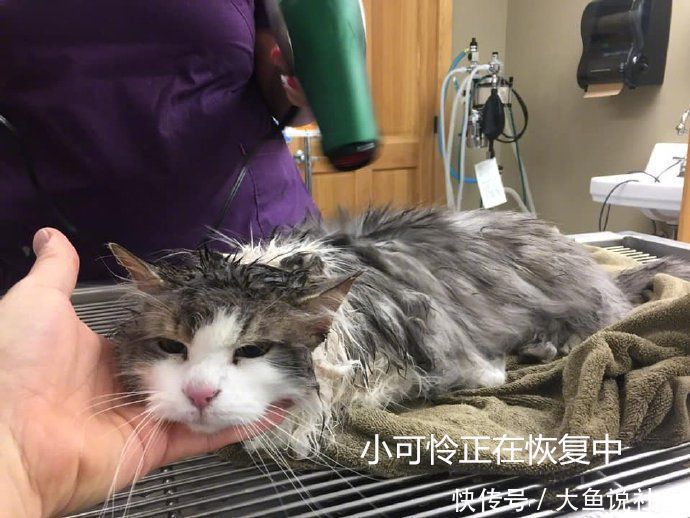 空调房里测体温准吗