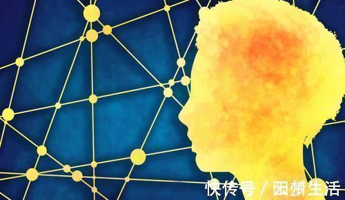 发育|哈佛研究:宝宝大脑发育高峰期一生有三次,请务必帮娃抓住一次