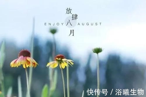 护肤|领取属于你的八月护肤攻略,一起给皮肤做个Spa吧!