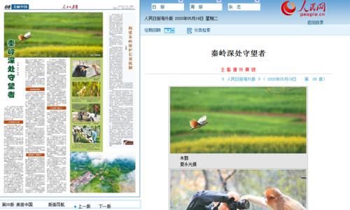 白忠德生态散文集《大熊猫 我的秦岭邻居》持续获好评