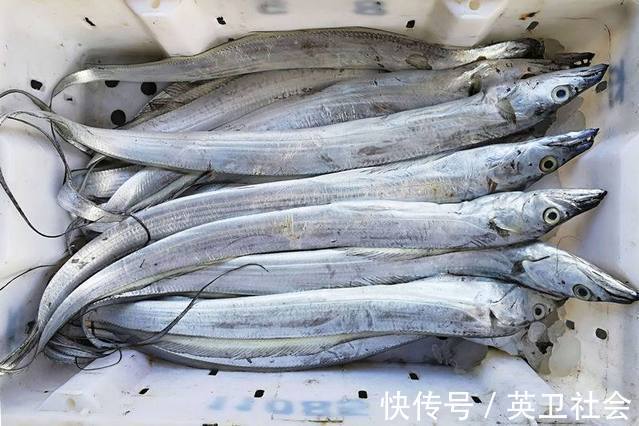 鲳鱼|这5种鱼记得多吃,都是本土海水鱼,新鲜美味营养高,价格也不贵