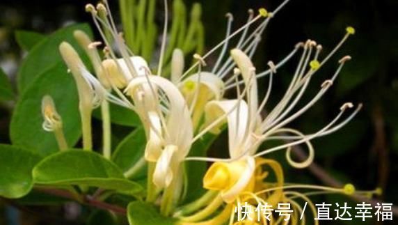 妇科病|30岁女性若是常吃4物，可排出体内毒素，让子宫洁净，预防妇科病