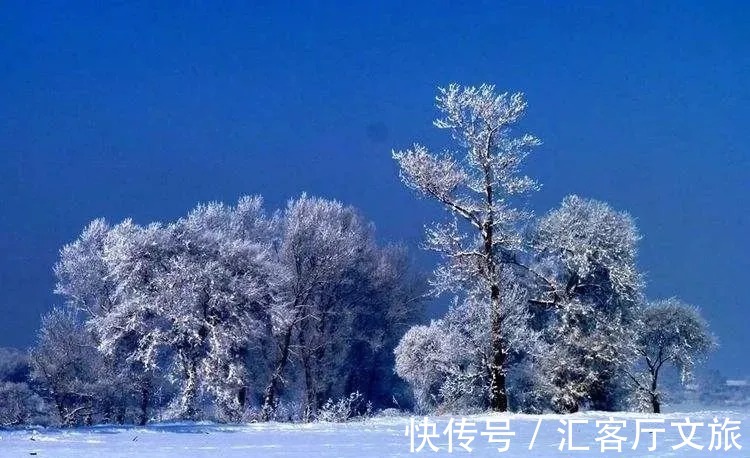 冬天|当初雪遇上立冬：这10大“最美雪景”，今年要在家里看了吗？