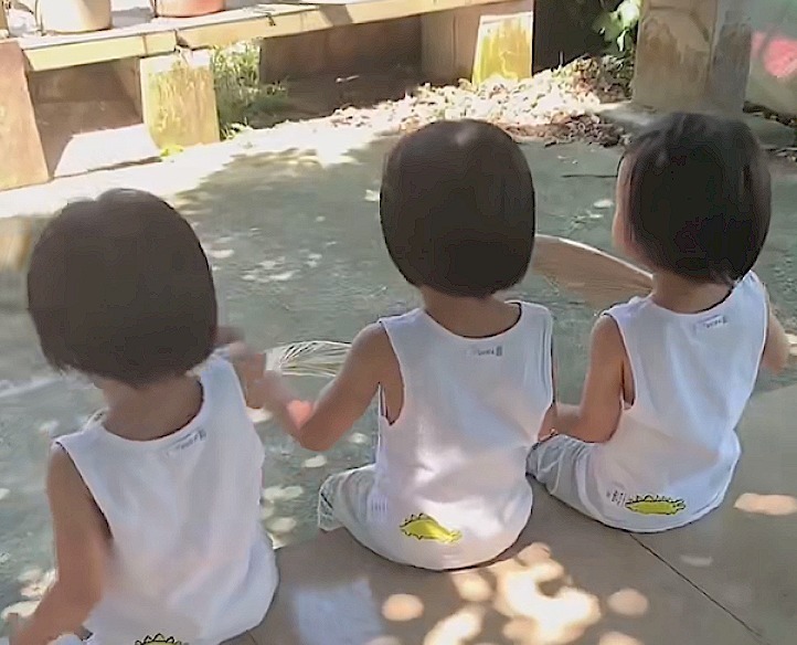 美好时光|三胞胎交给奶奶带了三个月,妈妈直接认不出,画面太真实