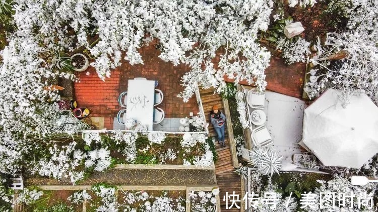 薇月|四年前,接手了朋友带120㎡院子的房子,打造成花园后朋友羡慕了