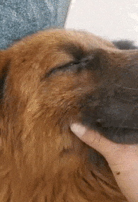 |搞笑GIF:日防夜防闺蜜难防