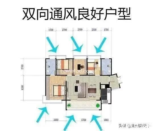 好户型|户型不好房子再大也憋屈懂行人专挑这几类户型，装修能省不少钱