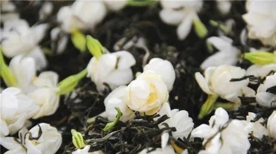 清香|用茉莉花茶做茶饮保持清香持久的秘密