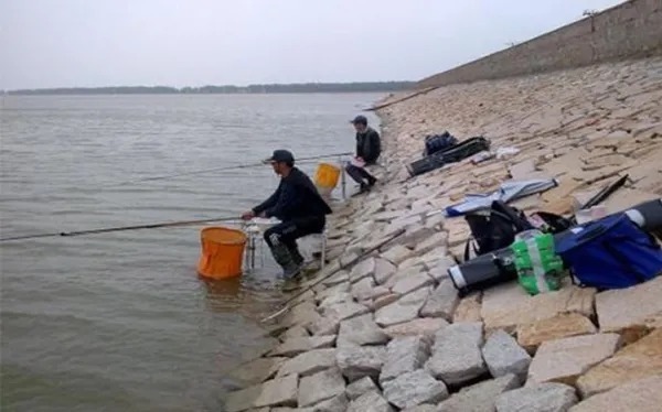 就别嫌大鲫鱼不好钓,掌握3大诀窍,渔获立马飙升几倍!