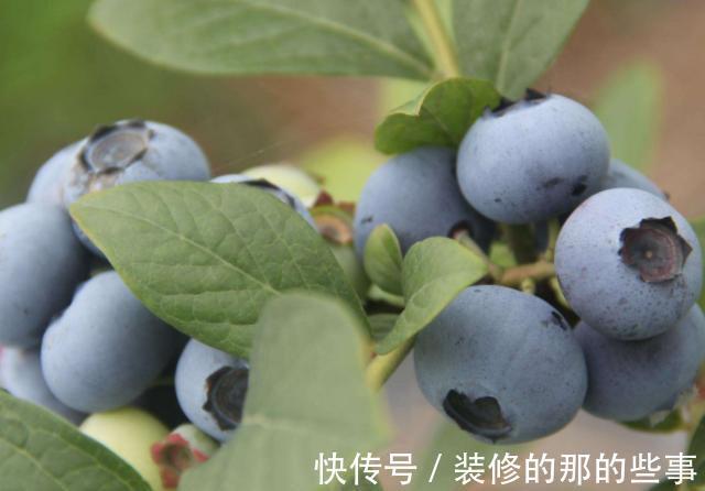 豆芽菜|怀孕后平时放开肚子吃4种食物,或对胎儿的发育有益,孕妈别不信