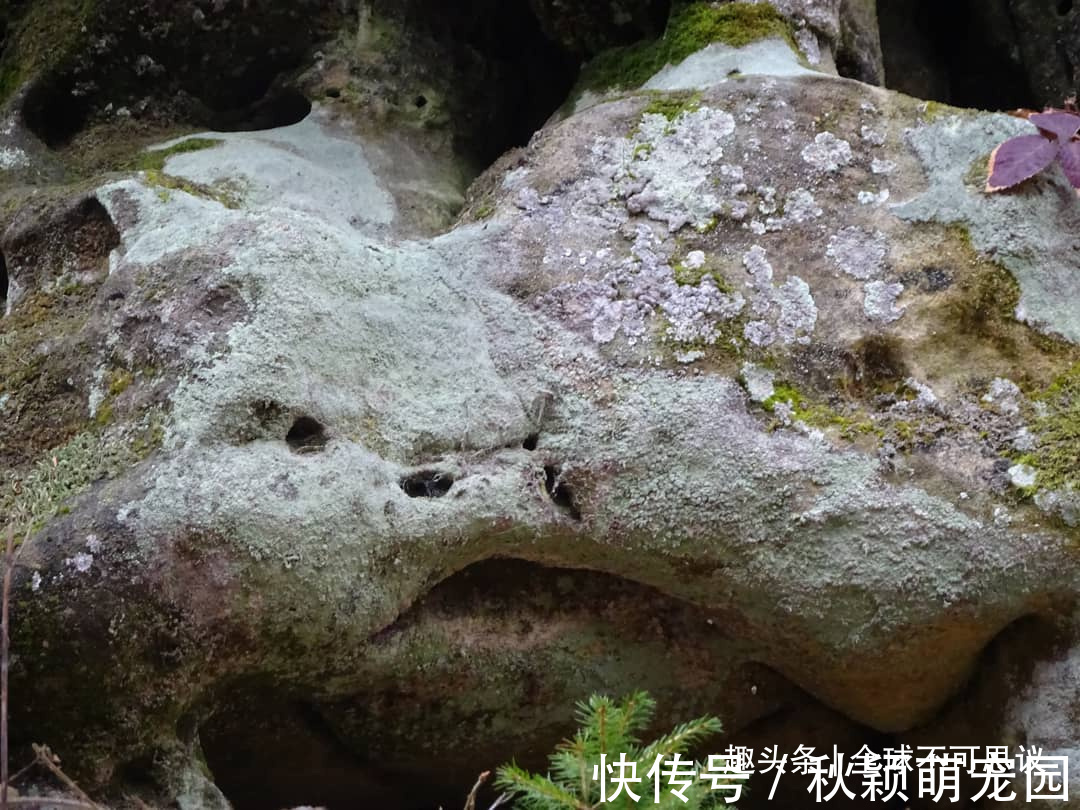 疯狂事|如果没有被相机捕捉到,我们永远不会相信存在的19件疯狂事情