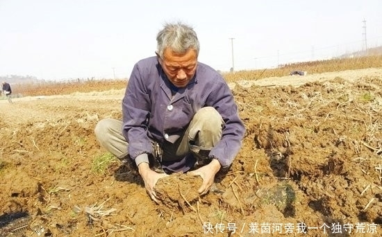 挖到|村民锄地时挖到一“姜状石头”,洗干净后卖出10万元