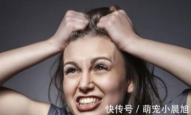 桂圆|更年期的“知音”已找到,并非桂圆,妇科主任:你若爱吃,告别失眠潮热