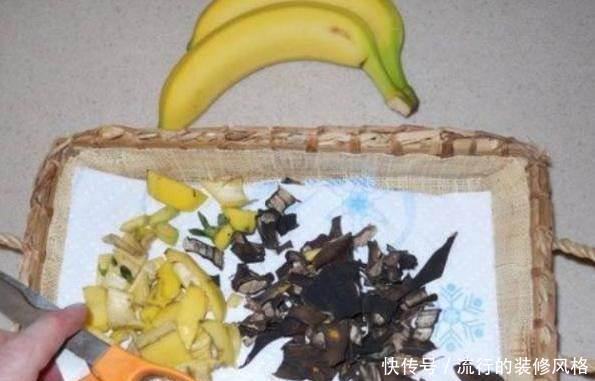 养花|养花这样施肥,事半功倍,啥花都长的倍棒!