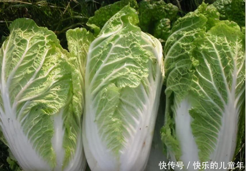  抵抗力|女人爱美，3种食物经常吃，排毒消脂，抗衰老，增强抵抗力