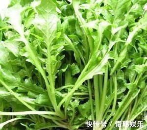 营养价值|多给家人吃以下几种野菜,营养价值非常的高,早知早受益