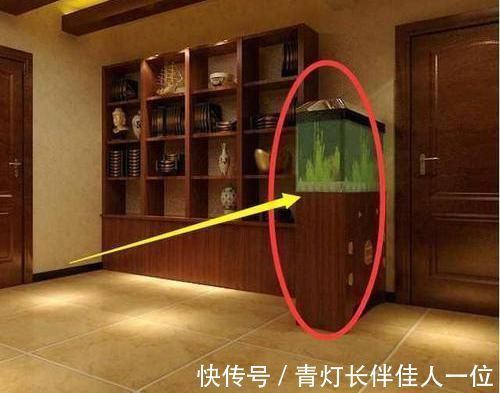 玄关|越来越多人家客厅都用这种隔断，省钱又实用，后悔我家装早了