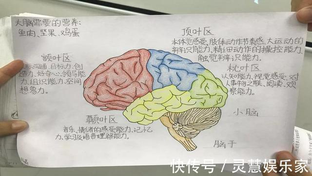 孩子|为什么孩子被吼完后,依旧会“不计前嫌”粘妈妈原因并非不记仇
