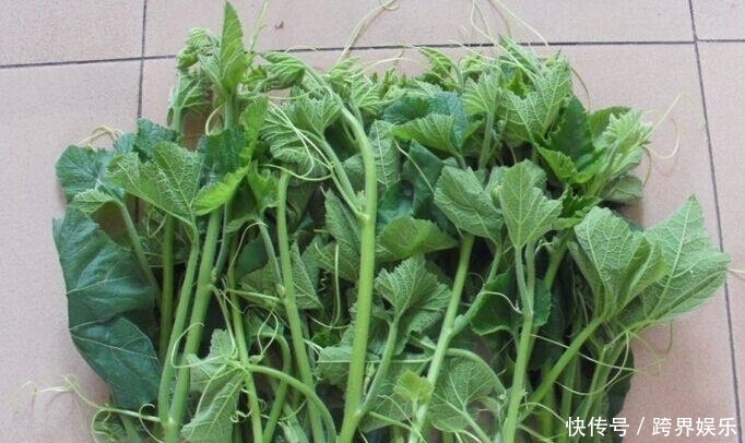 女人想身材好，建议吃的食物，润肤美容，皮肤细腻，气色更红润