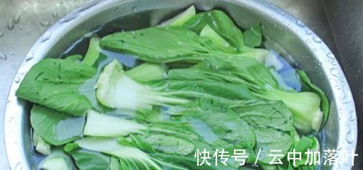 大鱼大肉|不论炒什么青菜,直接下锅就大错特错了,大厨都这样做,翠绿鲜香!