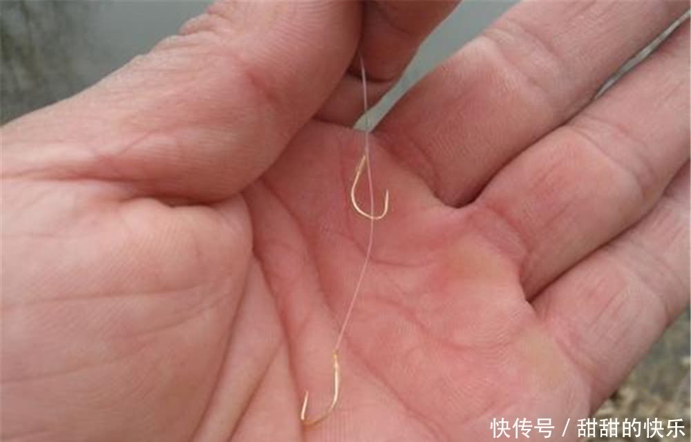 钓鱼技巧:提高中鱼率的5大技巧,想钓更多的鱼?靠的就是中鱼率