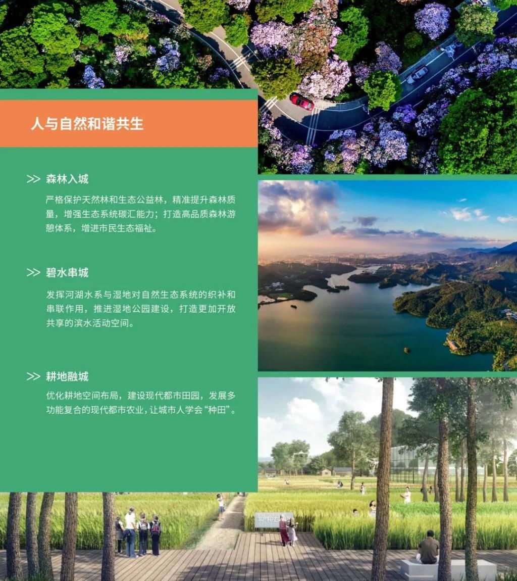公示|最新发布！深圳2035国土空间总体规划草案公示