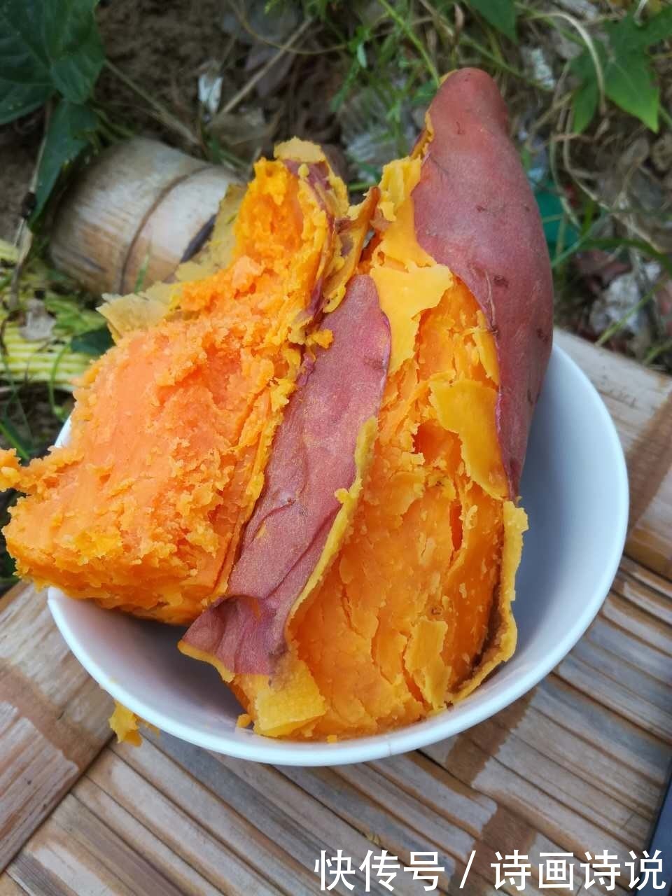 鲁南|怀念童年的地瓜